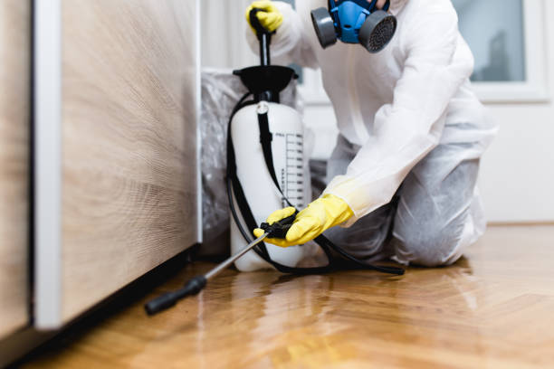 Best Pest Prevention Services  in Belton, TX