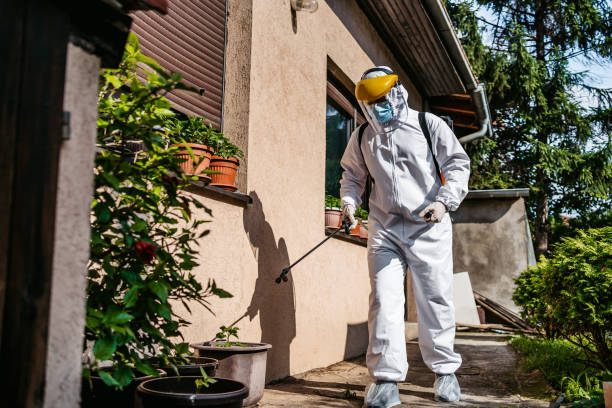 Reliable Belton, TX Pest Control Solutions