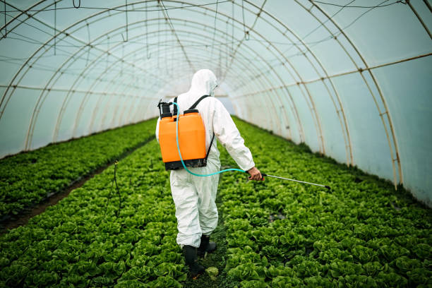 Best Best Pest Control Companies  in Belton, TX