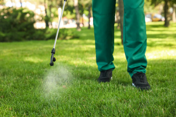 Best Affordable Pest Control Services  in Belton, TX
